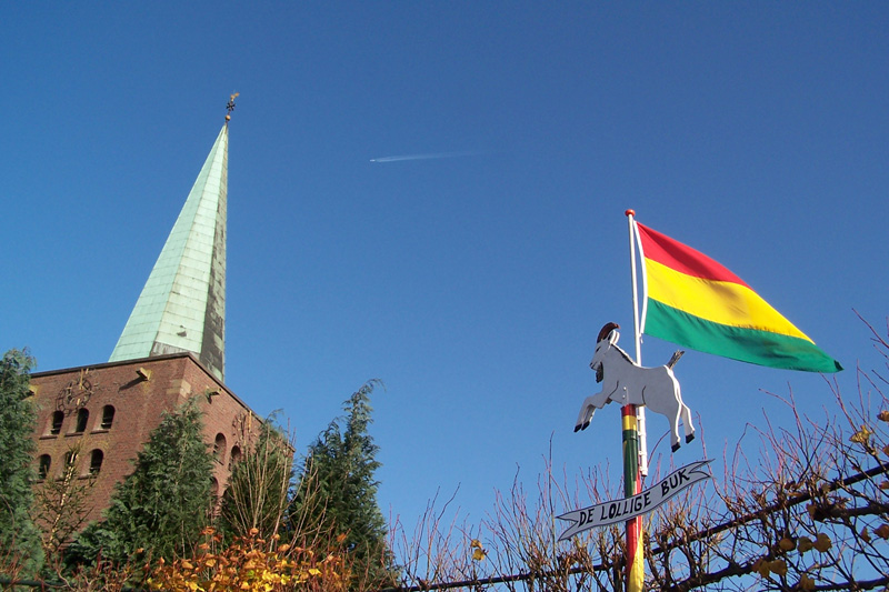 Bok geplaatst op Paereplein