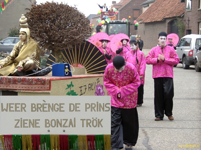 Carnavalsoptocht Dieteren foto:Har Verheggen